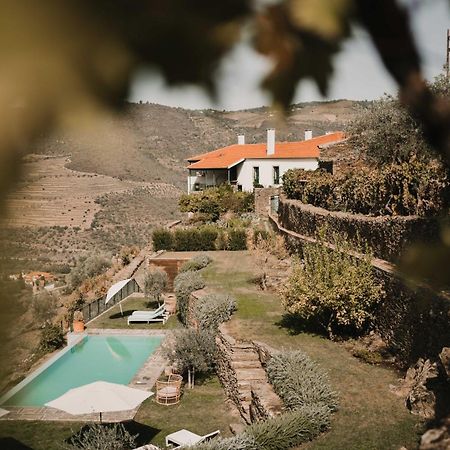 Quinta Da Gricha 호텔 Ervedosa do Douro 외부 사진