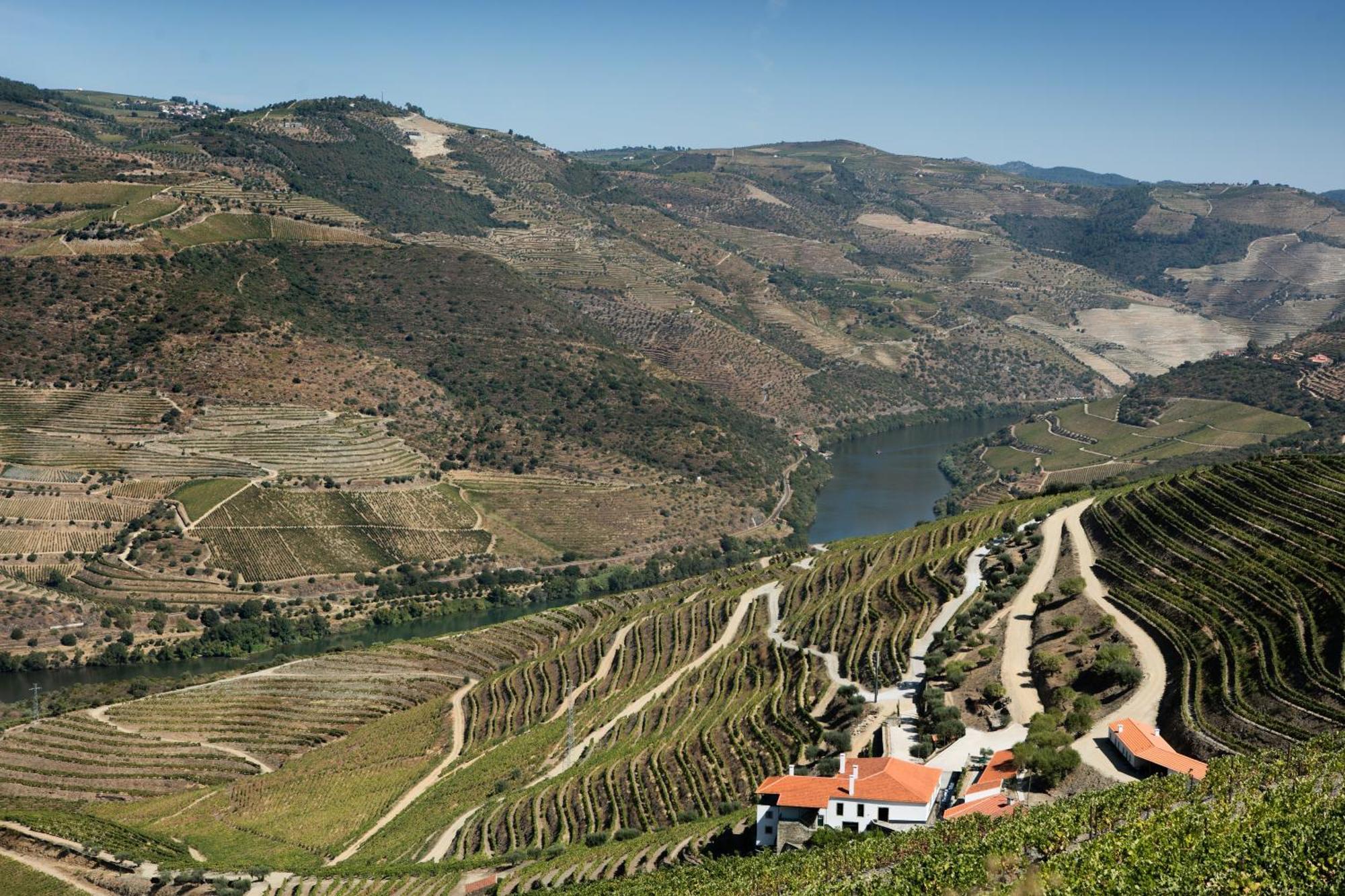 Quinta Da Gricha 호텔 Ervedosa do Douro 외부 사진