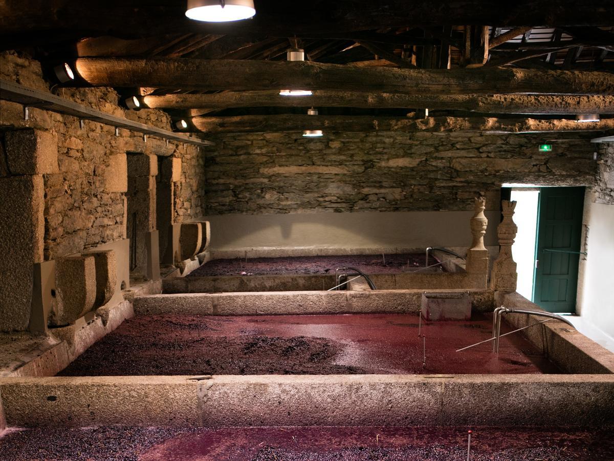 Quinta Da Gricha 호텔 Ervedosa do Douro 외부 사진