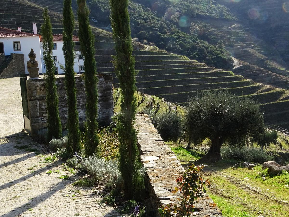 Quinta Da Gricha 호텔 Ervedosa do Douro 외부 사진