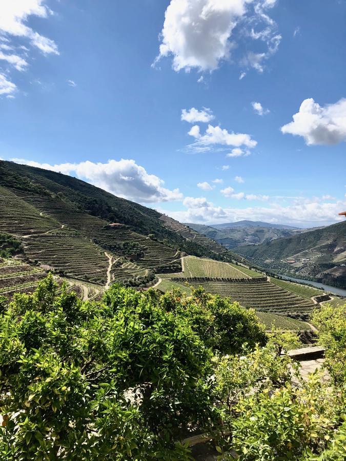 Quinta Da Gricha 호텔 Ervedosa do Douro 외부 사진