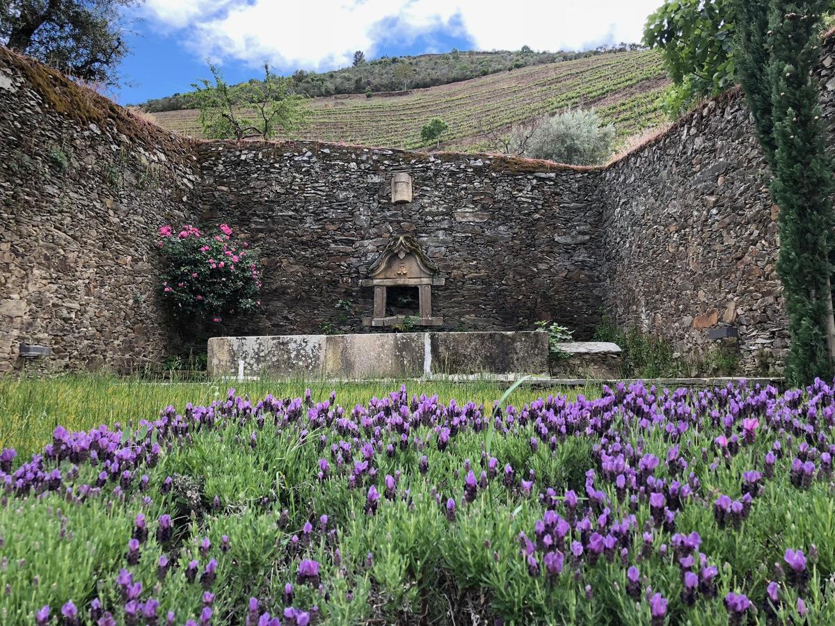 Quinta Da Gricha 호텔 Ervedosa do Douro 외부 사진