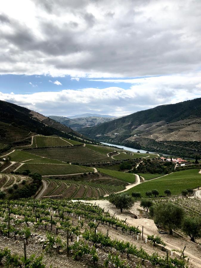 Quinta Da Gricha 호텔 Ervedosa do Douro 외부 사진