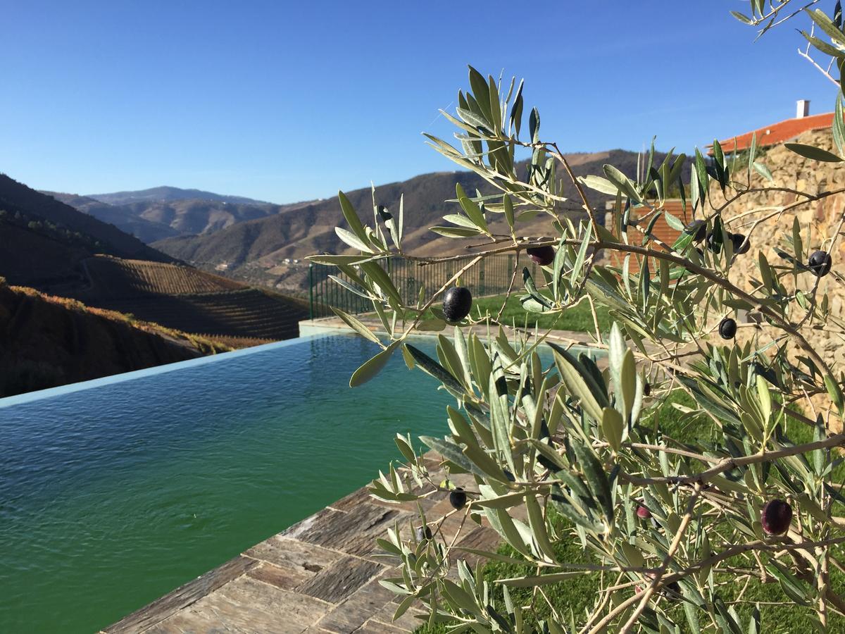 Quinta Da Gricha 호텔 Ervedosa do Douro 외부 사진